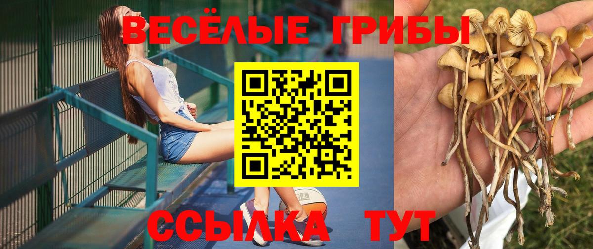 Галлюциногенные грибы GOLDEN TEACHER  Вход с VPN  Псилоцибиновые грибы Magic Shrooms  Добрянка 
