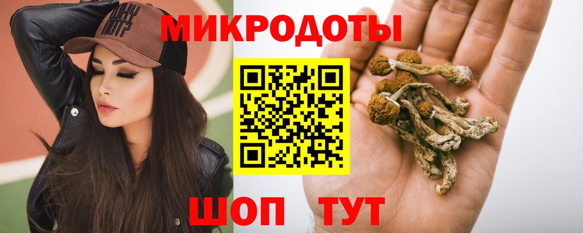 Галлюциногенные грибы Psilocybine cubensis Добрянка